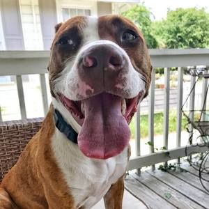 Meet your Posher, Colleen